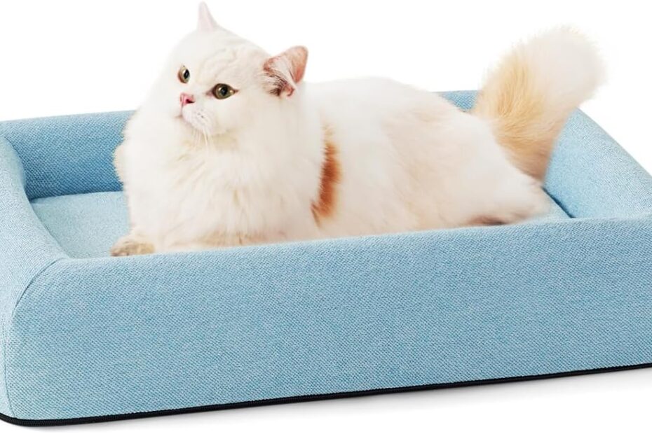 The Ultimate Comfort: Review of the Orthopedic Dog Bed for Small Dogs