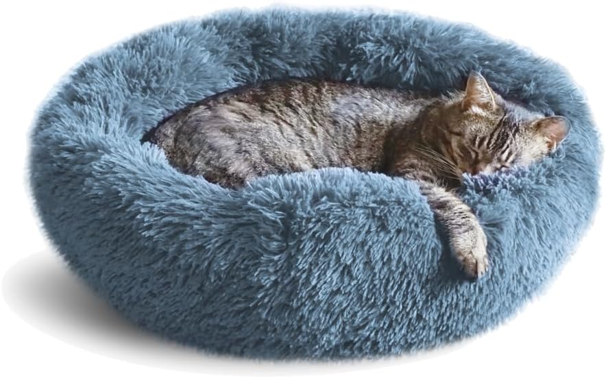 The Ultimate Comfort: Whiskers & Friends Cat Bed Review