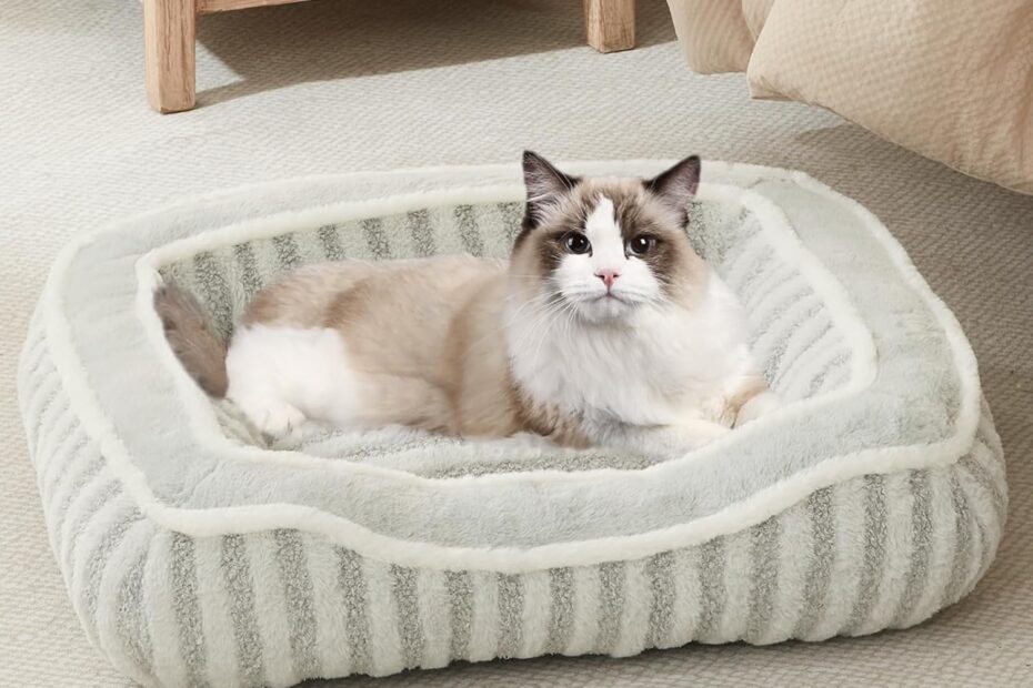 The Ultimate Comfy Haven: Review of the Deluxe Plush Dog Bed for Extra Small Breeds