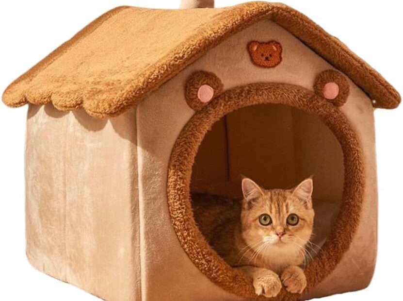 The Ultimate Cozy Retreat: A Review of the Cat Bed Cave for Indoor Cats