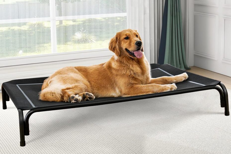 The Ultimate Elevated Dog Bed: Keep Your Large Pup Cool and Comfortable!