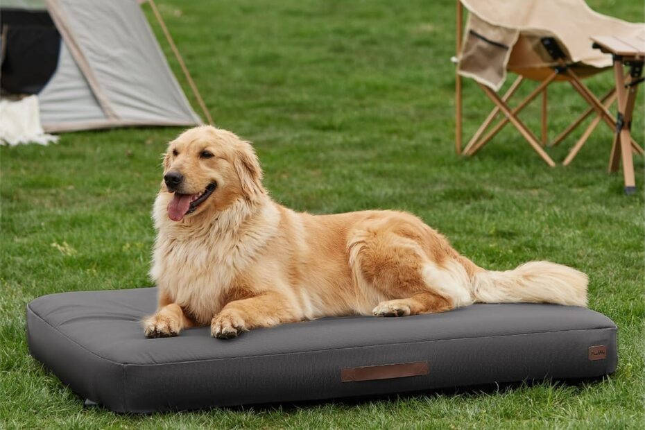 The Ultimate Outdoor Companion: Made4Pets Self-Inflating Dog Bed Review