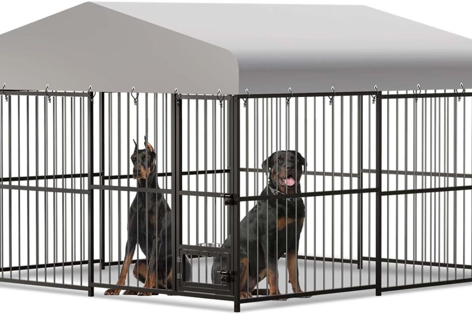 The Ultimate Outdoor Retreat: 10x10x6FT Large Dog Kennel Review