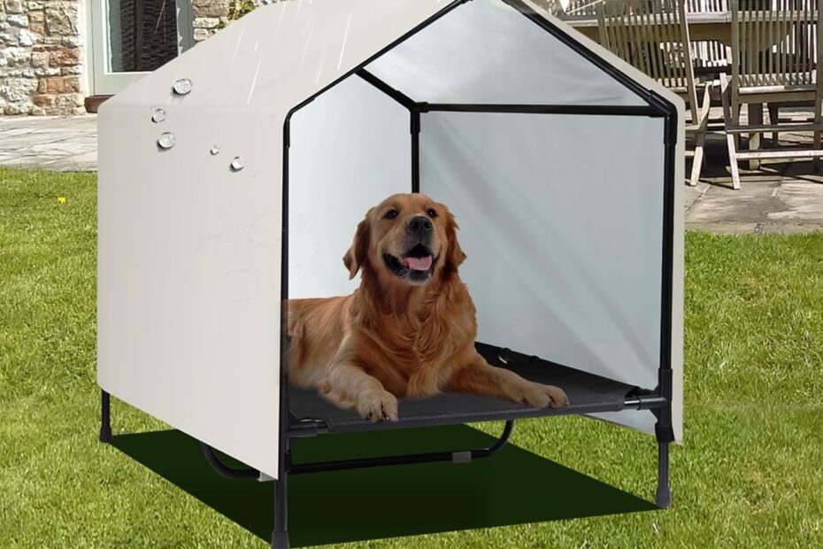The Ultimate Outdoor Sanctuary: Large Breed Dog House Review