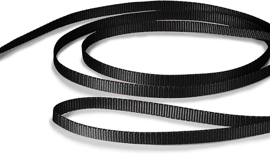 The Ultimate PetSafe Nylon Dog Leash Review: Strong, Stylish & Perfect for Any Pup!
