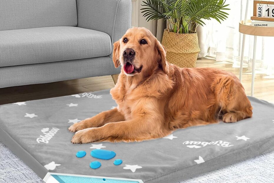 The Ultimate Waterproof Dog Bed: Review of the Memory Foam Orthopedic Comfort for Your Large Dog