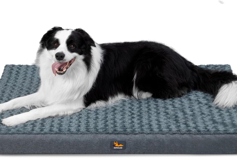 The Ultimate XXL Dog Bed: Comfort & Support for Your Pooch!