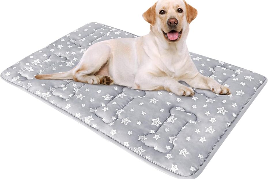 Transform Your Dog's Crate: The Ultimate Soft Starry Bed Mat Review!