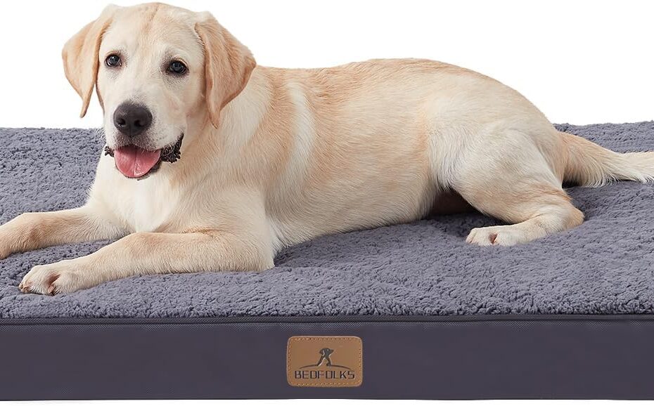 Transform Your Dog's Sleep: Bedfolks Orthopedic Bed Review for XL Paws!