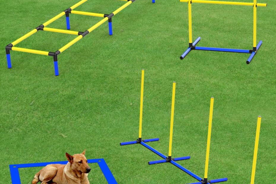 Transform Your Dog's Training: Review of the 4-in-1 Agility Equipment Set!