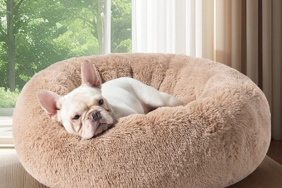 Transform Your Pet's Sleep: A Review of the Bedsure Calming Dog Bed