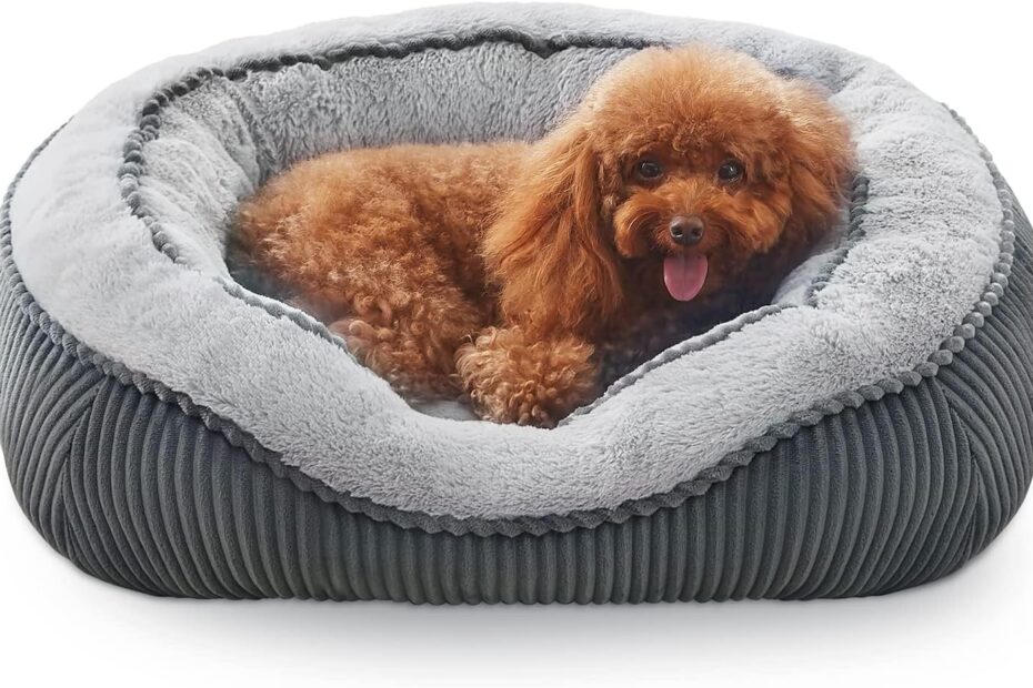 Transform Your Pet's Sleep: Review of SIWA MARY Orthopedic Dog Beds