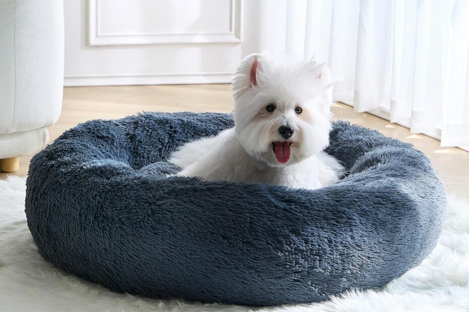 Transform Your Pet's Sleep: Review of the Cozy Donut Bed for Small Dogs and Cats