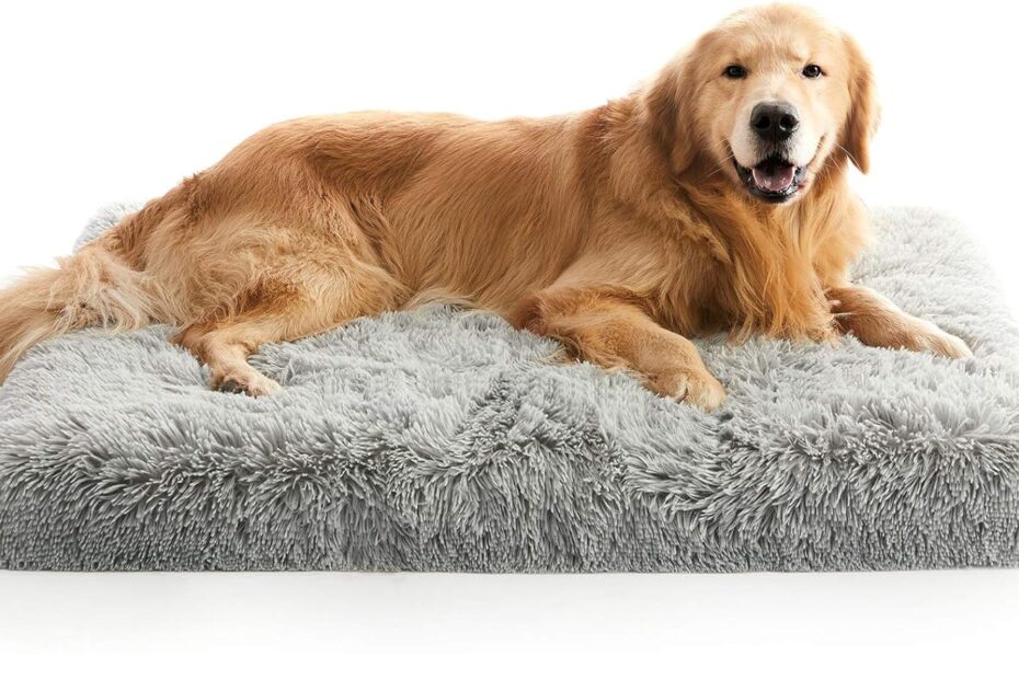 Transform Your Pet's Sleep: Review of the MIHIKK Extra Large Orthopedic Dog Bed