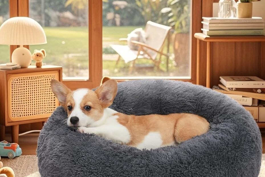 Transform Your Pet's Sleep with the OhGeni Calming Donut Dog Bed!