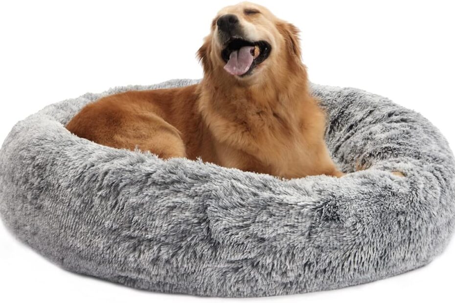 Transform Your Pup's Sleep: Bedfolks Calming Donut Dog Bed Review!