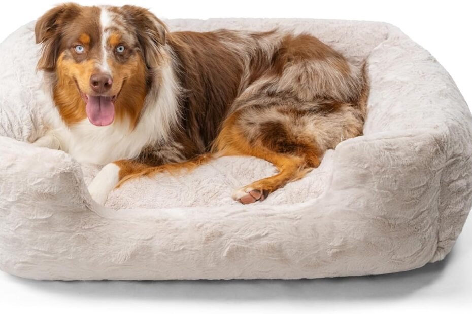 Transform Your Pup's Sleep: Review of the Best Friends by Sheri Lux Lounge Bed