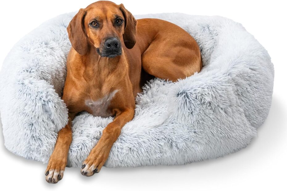 Transform Your Pup's Sleep: Review of the Best Friends by Sheri Shag Lounge Bed