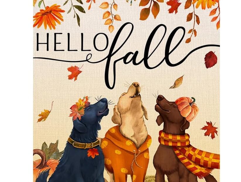 Transform Your Yard with the BLKWHT Fall Dogs House Flag: A Standout Autumn Decor!