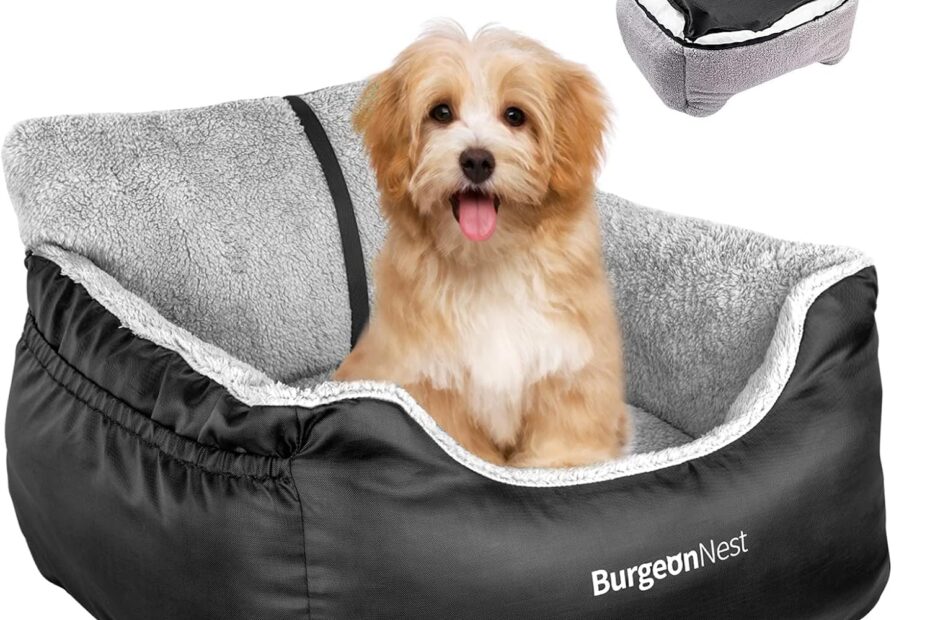 Travel in Comfort: Review of the BurgeonNest Dog Car Seat for Small Pets