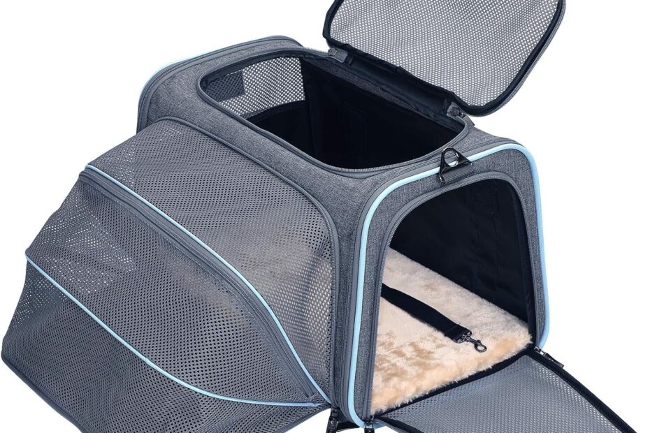 Travel in Comfort: Review of the Petsfit Expandable Cat & Dog Carrier