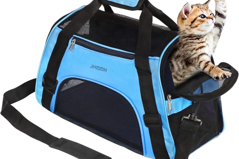 Travel in Comfort: The JMOON Soft-Sided Pet Carrier Review