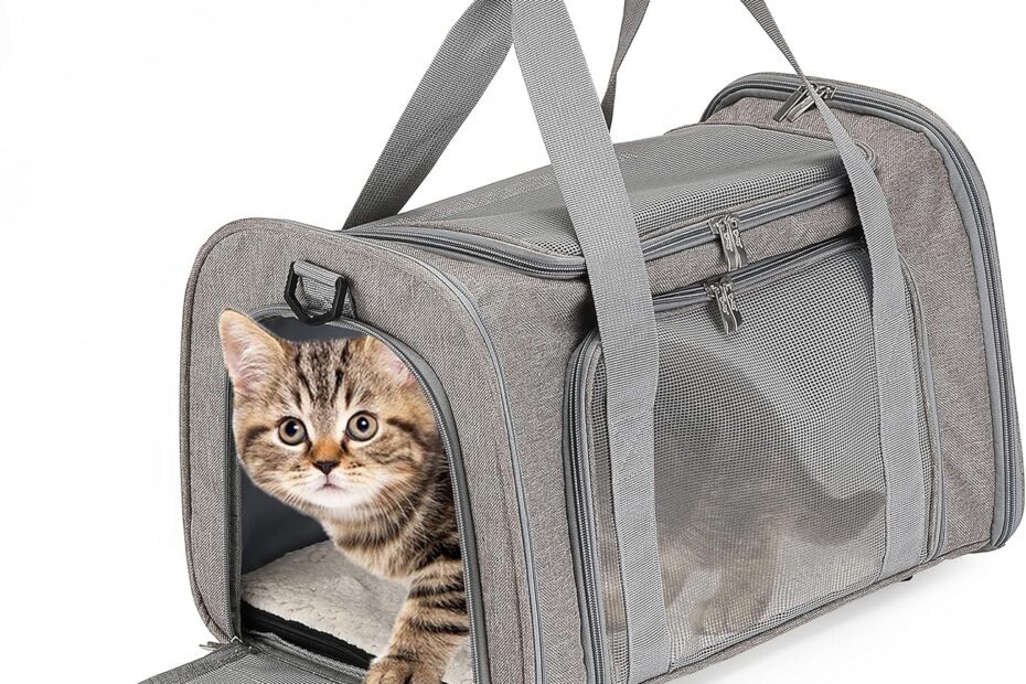 Travel in Comfort: The Ultimate Review of Mr. Pen Pet Carrier