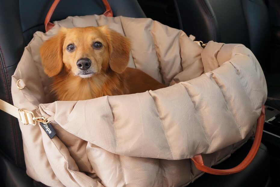 Travel in Comfort: The Ultimate ZEPA Dog Car Seat Review for Small Dogs