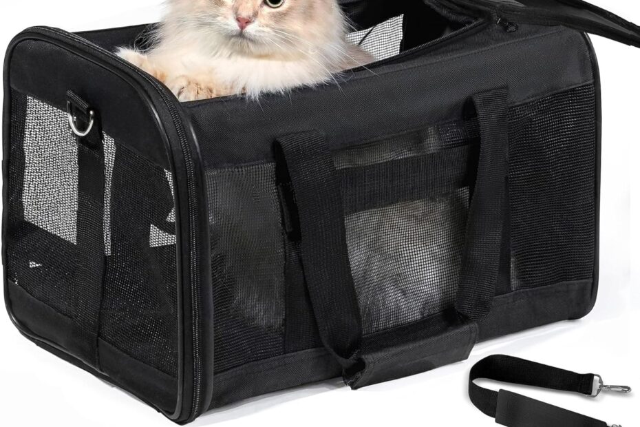 Travel in Style: Review of the Airline Approved Cat & Dog Carrier