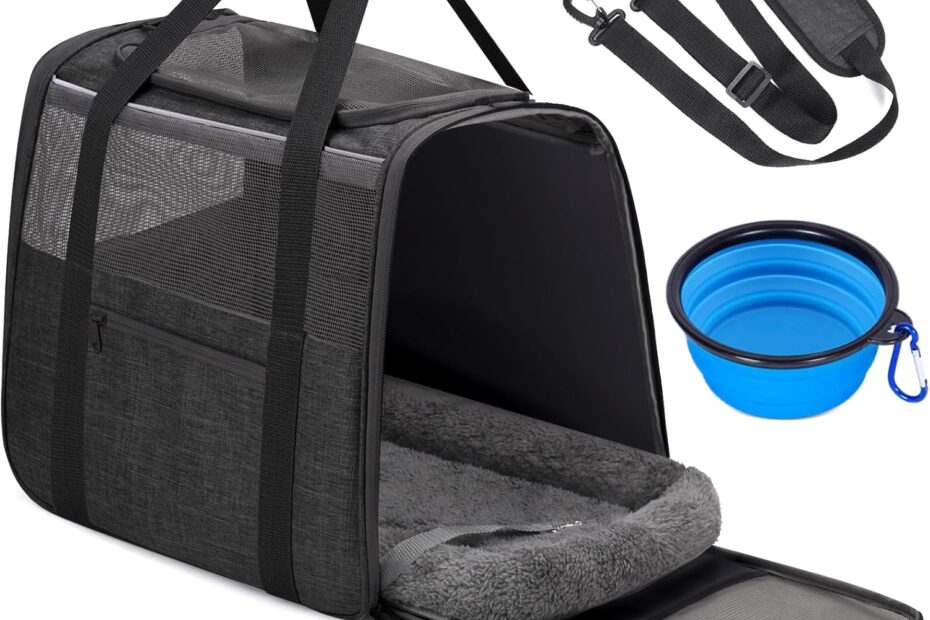 Travel in Style: Review of the JUNGYOUN Premium Cat Carrier