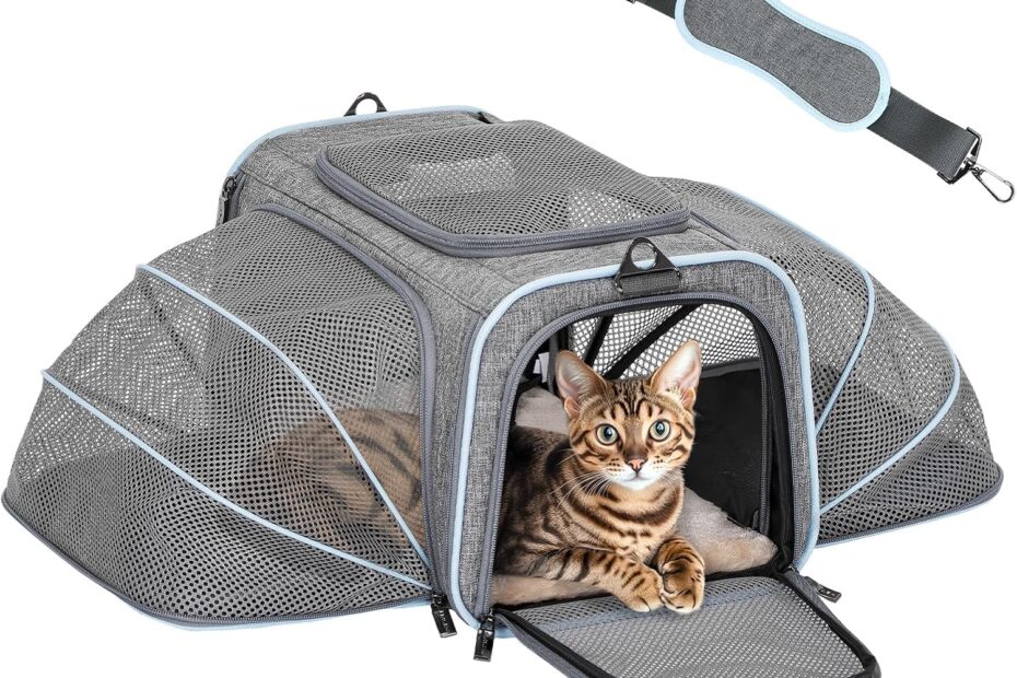 Travel in Style: Review of the Petsfit Expandable Cat & Dog Carrier