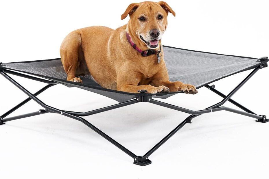 Travel in Style: The Coolaroo On-The-Go Elevated Dog Bed Review