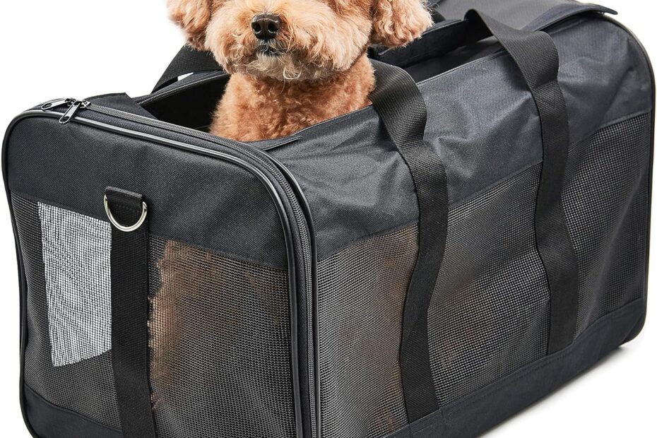 Travel in Style: The HITCH ScratchMe Pet Carrier Review!