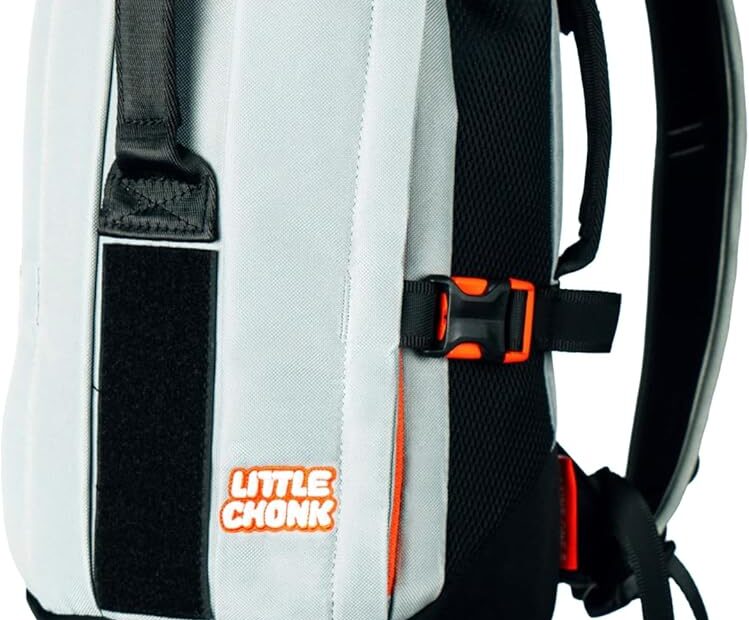 Travel in Style: The Maxine One Small Dog Carrier Review