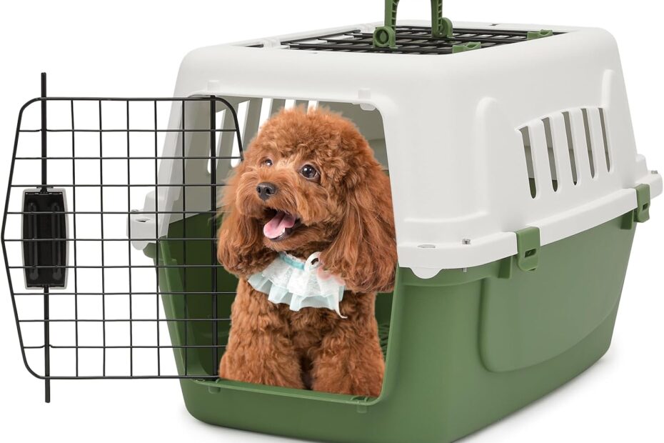 Travel in Style: The MoNiBloom 22-Inch Pet Carrier Review