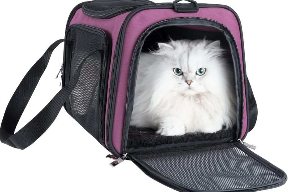 Travel Ready: The Petisfam Easy Load Carrier for Cats and Small Dogs