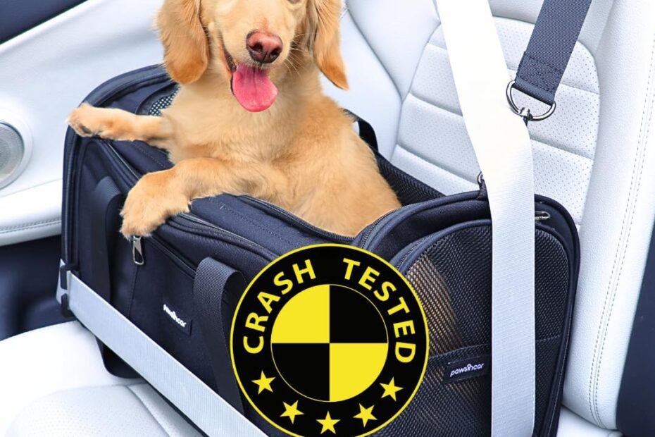 Travel Safe: The Ultimate 3-in-1 Pet Carrier Review