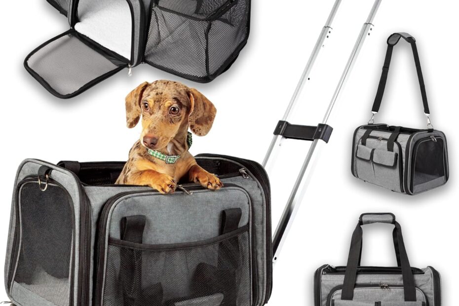 Travel Smart: Review of the TSA Compliant Pet Carrier with Wheels