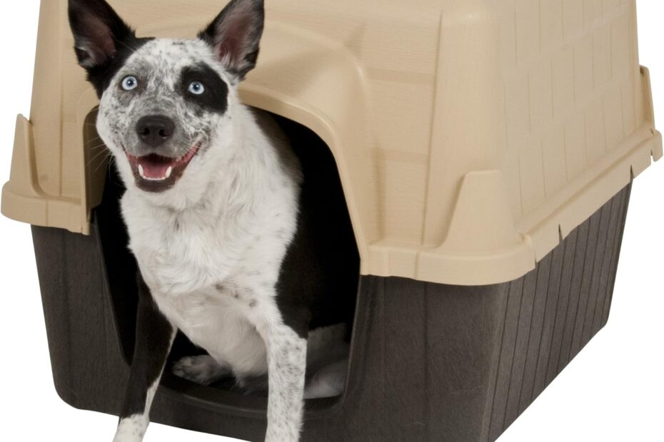 Ultimate Comfort: A Review of the Petmate Aspen Pet Outdoor Dog House for Medium Dogs
