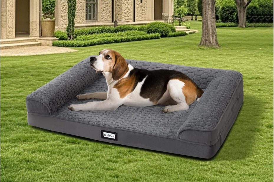 Ultimate Comfort: BALANCE Orthopedic Dog Bed for Large Dogs Reviewed!