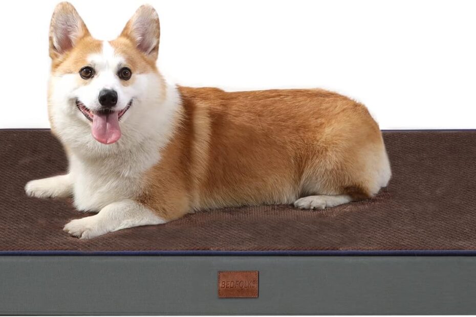 Ultimate Comfort: Bedfolks 4" Orthopedic Dog Bed Review