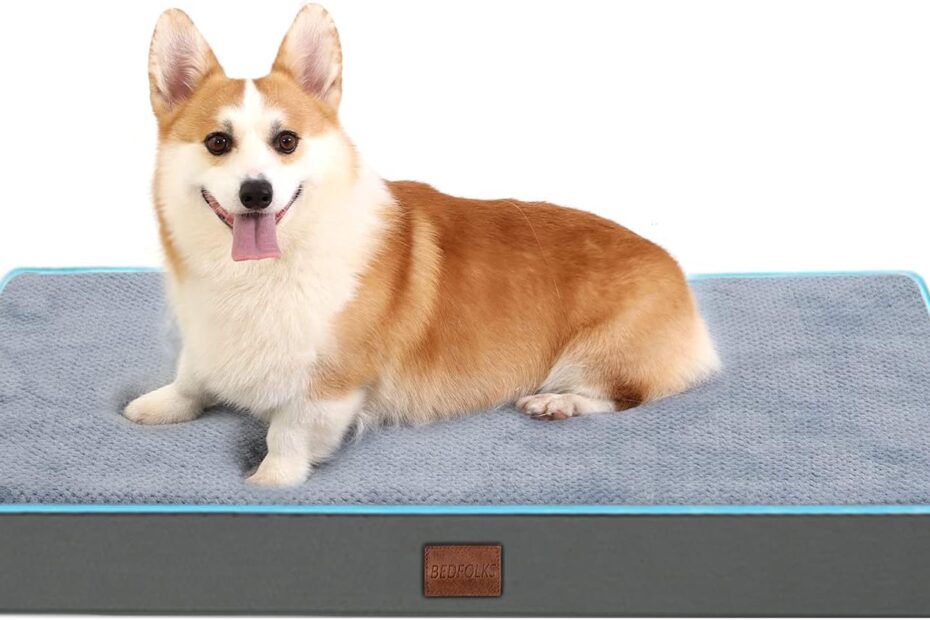 Ultimate Comfort: Bedfolks 4" Orthopedic Dog Bed Review for XL Pups