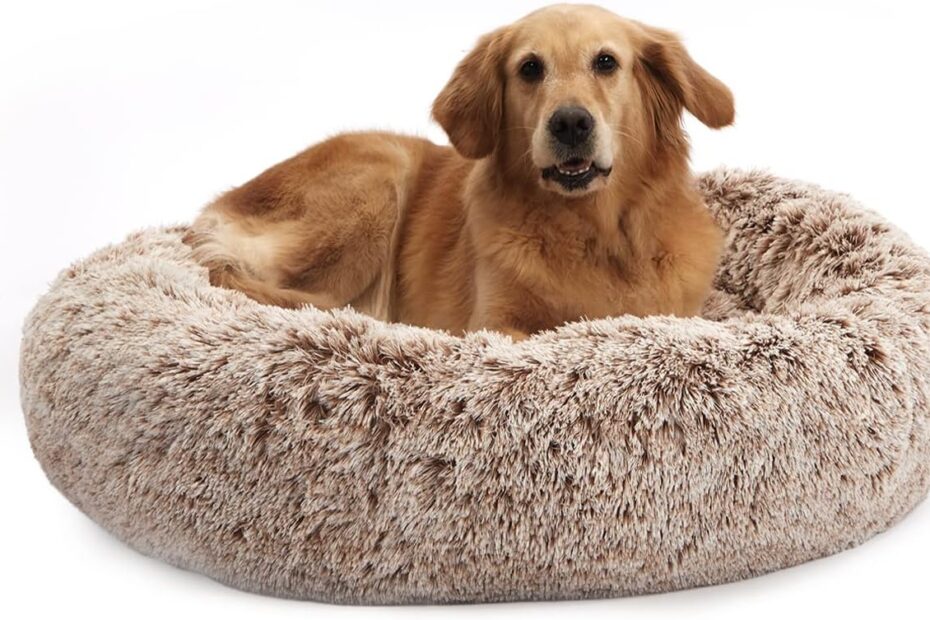 Ultimate Comfort: Bedfolks Calming Donut Dog Bed for Large Dogs Review