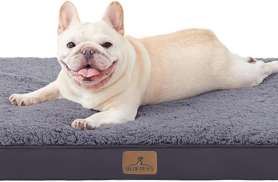 Ultimate Comfort: Bedfolks Orthopedic Dog Bed Review for Large Pets