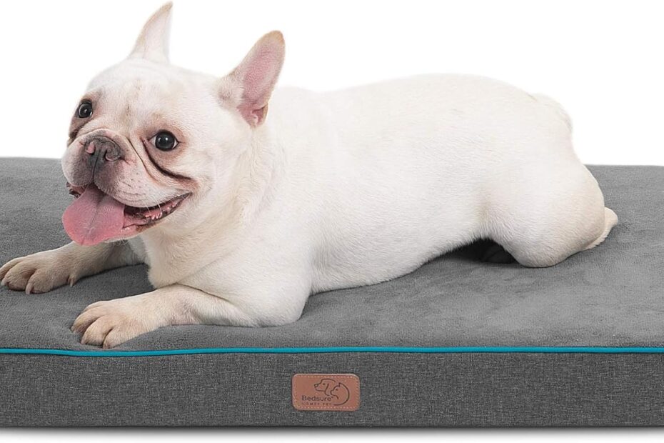 Ultimate Comfort: Bedsure Orthopedic Memory Foam Dog Bed Review