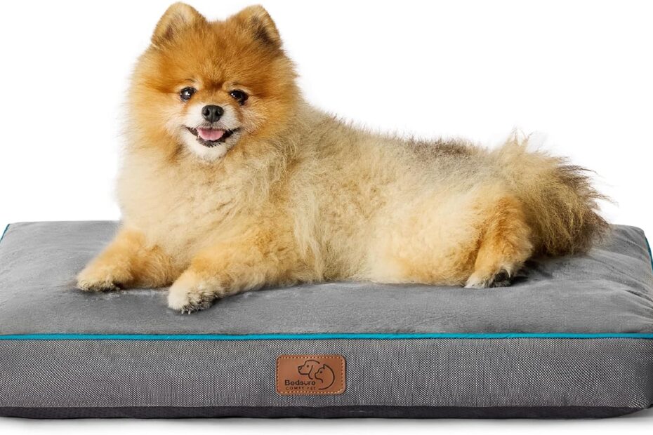 Ultimate Comfort: Bedsure Washable Dog Bed Review for Small Pups