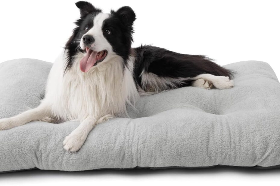 Ultimate Comfort: Bedsure Washable Dog Bed Review for XL Dogs