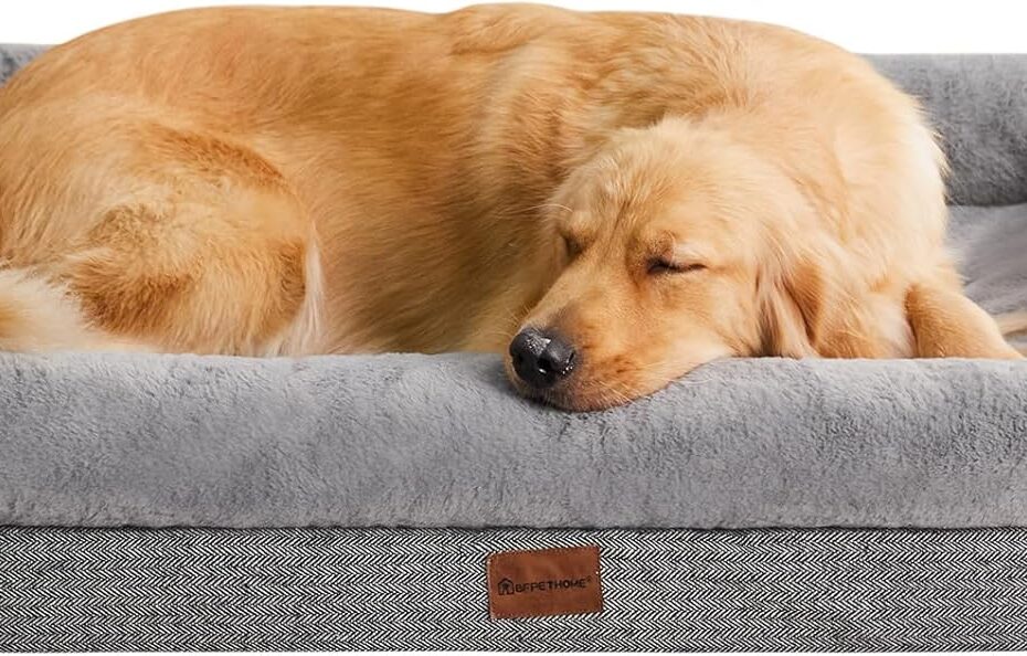 Ultimate Comfort: BFPETHOME Orthopedic Beds for Extra Large Dogs - A Complete Review