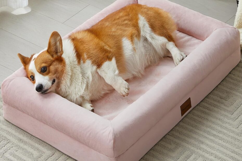 Ultimate Comfort: BFPETHOME Orthopedic Dog Beds for Small Dogs Reviewed!