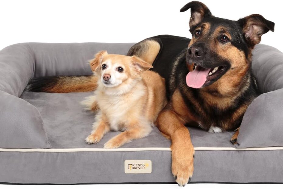 Ultimate Comfort: Chester XX-Large Orthopedic Dog Bed Review